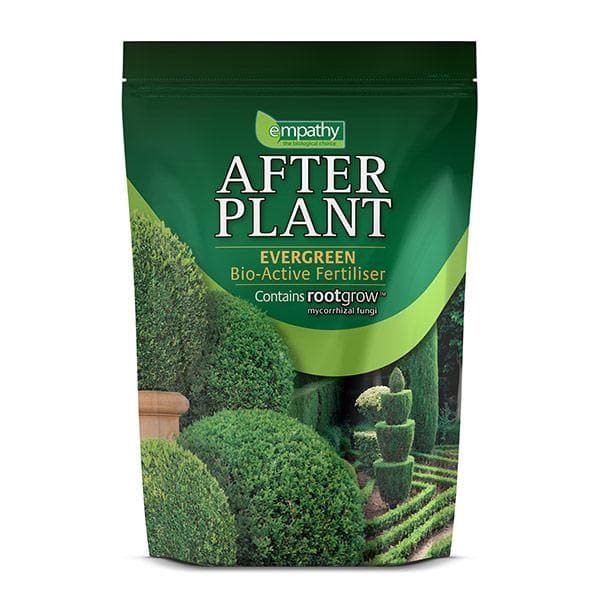 RHS Empathy Afterplant Evergreen Food - Future Forests
