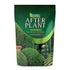 RHS Empathy Afterplant - Evergreen