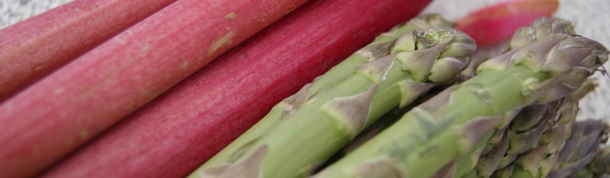 Fruit - Asparagus & Rhubarb