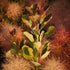 Cotinus coggygria Smokey Joe