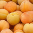 Apricot Goldcot