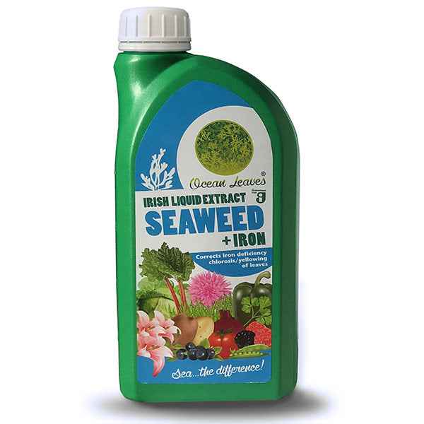 Ocean Leaves, Irish Liquid Seaweed Extract with IRON