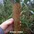 Tree Stake - Future Forests