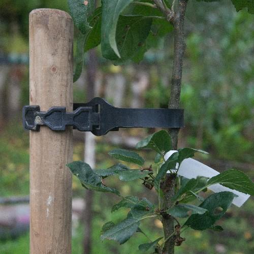 Tree Tie - Rubber Self Tie 60cm - Future Forests
