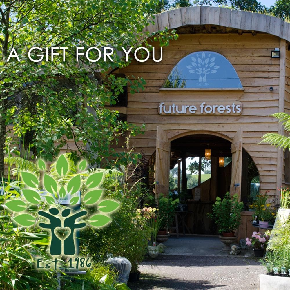 Future Forests E Gift Voucher & Gift Cards