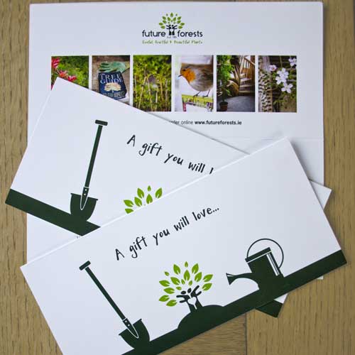 Gift card for our nursery | In-person use only